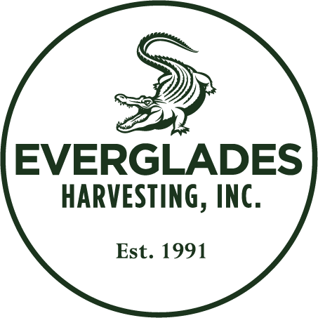Everglades Harvesting